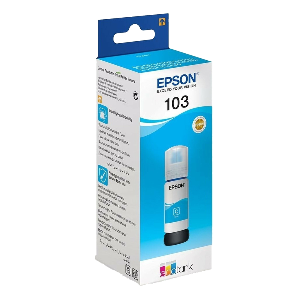 C13T06C24A — variant_0