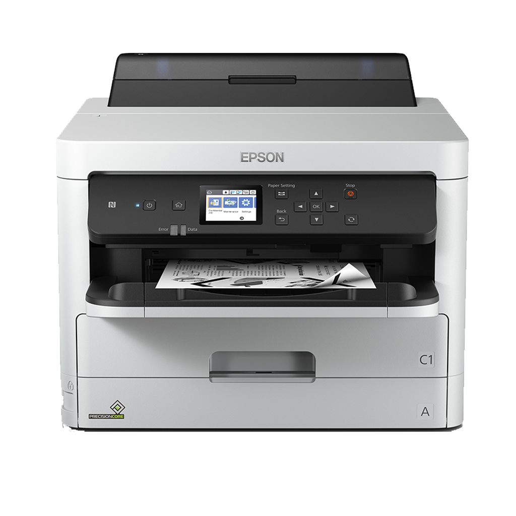 C11CG07402 — variant_0