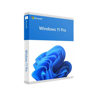 [FQC-10532] Microsoft Win 11 Pro 64Bit French 1pk DSP OEI DVD