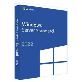 Microsoft Windows Svr Std 2022 64Bit French 1pk DSP OEI DVD 16 Core